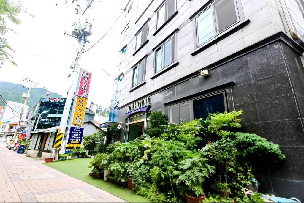 Ace Hotel Ulleung Exterior foto
