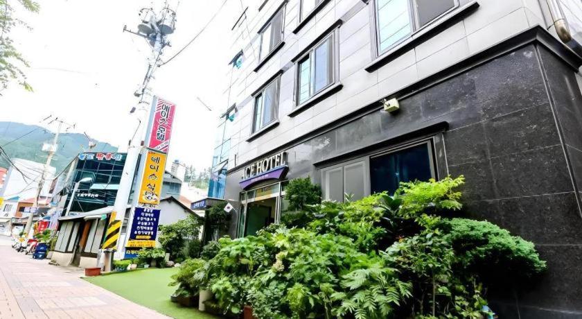 Ace Hotel Ulleung Exterior foto